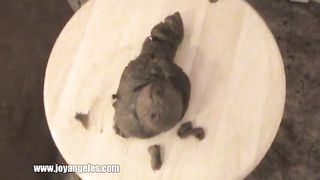 Milf shitting on a wooden stool