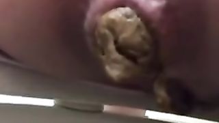 Daily poop would you eat it?