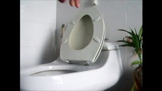 Girl shitting in the toilet