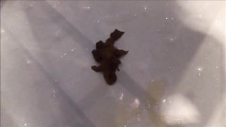 Girl shit and piss in the shower and put her feet on it