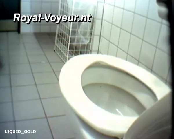Women Pooping In Public Toilets Women Pooping In Public Toilets
