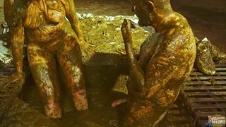Cow shit porn