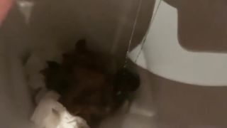 Shaved teen shitting lots