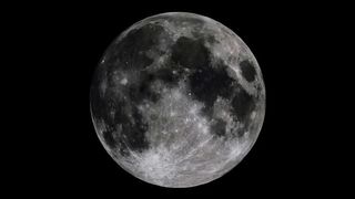 Slutty college girl eats poop