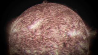 Tasty blowjob from scat girl