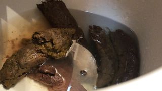 Toilet filled with logs