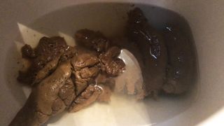 Toilet clogging dump