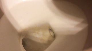 PAWG dump compilation