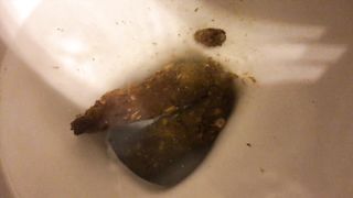 PAWG dump compilation