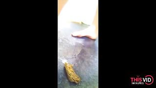 Poo compilation