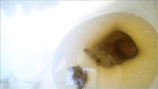 PAWG queen shitting