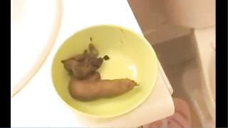 Lesbian girls masturbate with shit