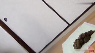 Likes shitting in doggystyle