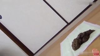 Likes shitting in doggystyle