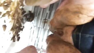 Liquid shit in white diapers