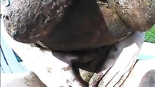 Busty babe smears a lot of shit