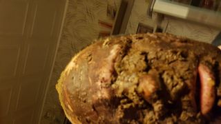 Amateur fat dude loves shit on his face