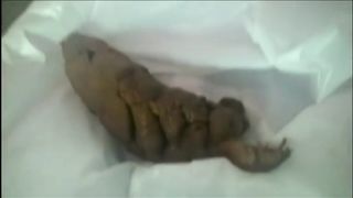 Asian babe shitting thick turd