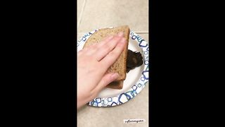 Hot chick making poop sandwich