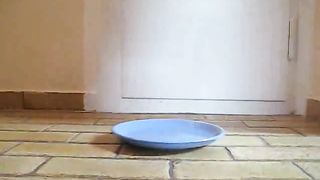 Shaved pierced pussy lady pooping