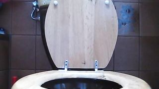 Big ass lady pooping in the toilet