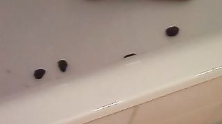 Piss loving redhead wife