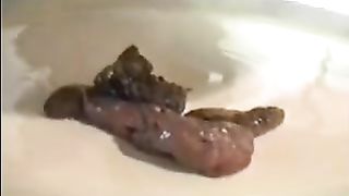 Beautiful amateur lady pooping big load