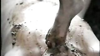 Asian Mistress in high heels poop feeding her slave