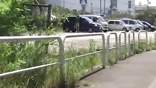 Making her poop outdoor