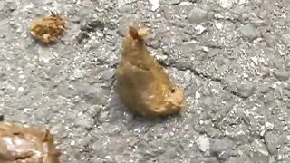 Sexy ass lady and her sexy outdoors shit