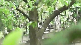 Cheeky Japanese poops outdoor