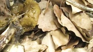 Cheeky Japanese poops outdoor