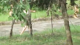 Quick piss in the woods