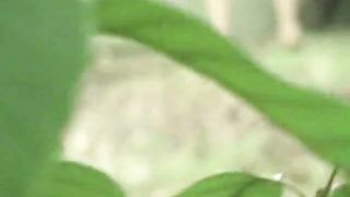 Curvy Asian babe caught pooping outside