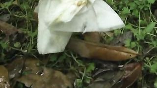 Curvy Asian babe caught pooping outside