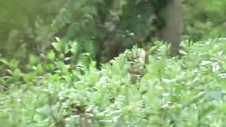 Messy poop in the outdoors