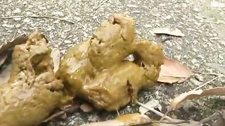 Messy poop in the outdoors