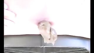 Slutty blonde and brunette ladies pooping