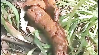 Young amateur brunette babe pooping in the jungle