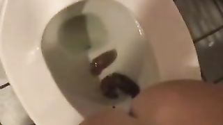Cute brunette chick pooping nicely in the toilet