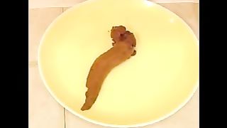 Kylee Sofea pooping tadpole