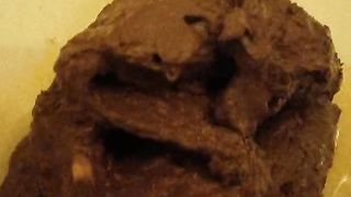 Dark brown turd closeup video