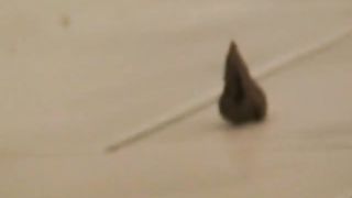 Small tits blonde with tampon drops poopy cream