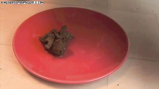 Big booty pooping girl poops on the plate