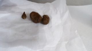 Stunning hot blonde babe poops juicy load