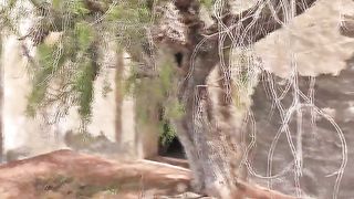 Amateur girl pooping in an abandoned house