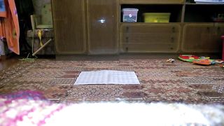 Shameless chick pooping on the floor