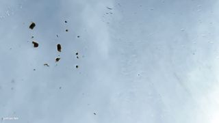 Skinny girl pooping on the car