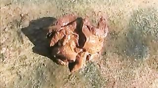 Amateur ladies pooping nicely for you