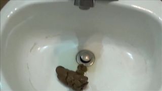 Teen drops hard poop into sink